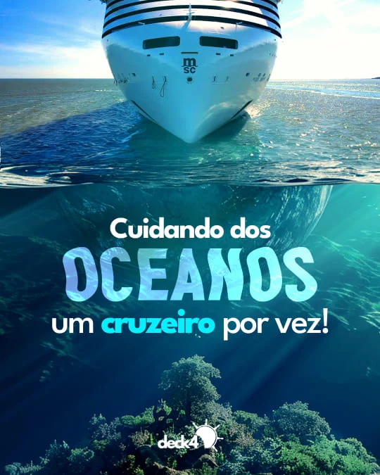 feed-16-1.webp